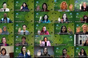 APEC婦女與經濟論壇會議視訊。（圖源：互聯網）