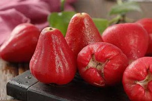 營養師揭吃蓮霧4大好處