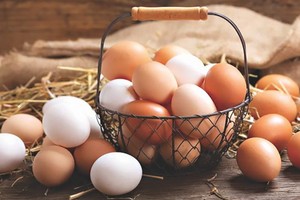 雞、鴨、鵪鶉等蛋類，哪種更有營養？