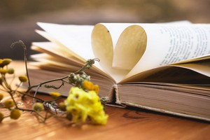 （示意圖源：互聯網） 