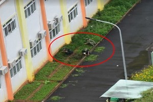 各名軍人除草的照片獲網友紛紛點贊。