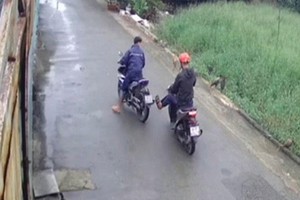 兩名偷車賊在平政縣某居民區作案。