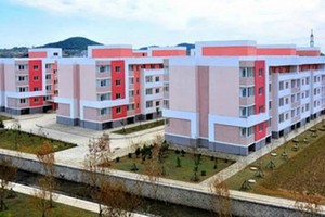 平壤東部大城區林興洞住宅區。 （圖源：韓聯社）