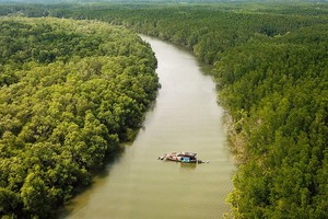 沿海地區森林保護與開發提案獲通過。