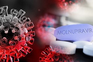 蓋茨基金會助低收入國加速獲取新冠藥物莫努匹韋。（示意圖源：互聯網） 