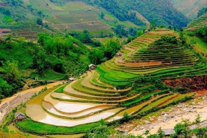 梯田　陳光明　攝