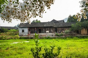 （示意圖源：互聯網） 