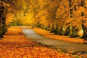 （示意圖源：互聯網） 