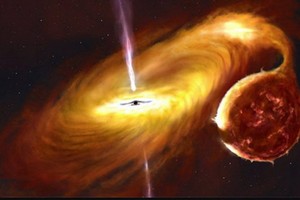 具有扭曲盤的黑洞。