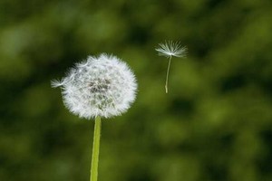 （示意圖源：互聯網） 