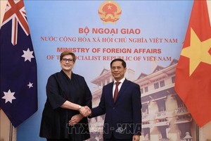 外交部長裴清山與澳大利亞外長兼婦女事務部長瑪麗斯‧佩恩握手合照。（圖源：越通社）