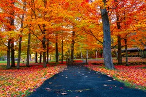 （示意圖源：互聯網） 