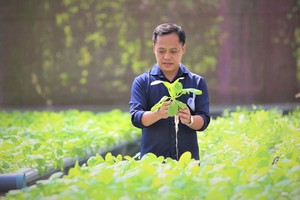 阮晉方在Afarm農場的蔬菜種植溫室裡。