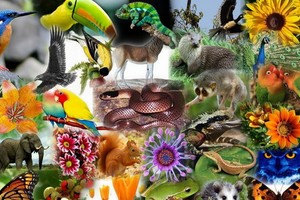 （示意圖源：互聯網） 