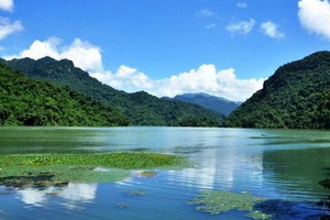 （示意圖源：互聯網） 