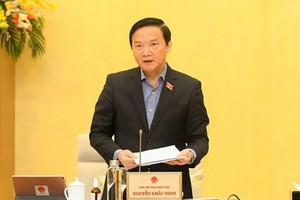 國會副主席阮克定在會議上發言。（圖源：Quochoi.vn）