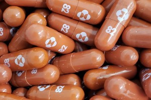 抗病毒口服藥 Molnupiravir。（圖源：互聯網）