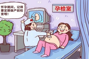 孕期容易出意外？3大保健措施要做到位！