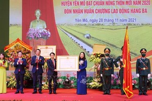 寧平省安謨縣達新農村標準