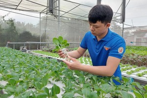 潘仲仁教師在應用高新技術的菜園工作。