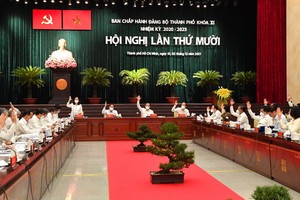 2020-2025 年任期第十一屆市黨部執委會第 10 次會議全景。（圖源：越勇）