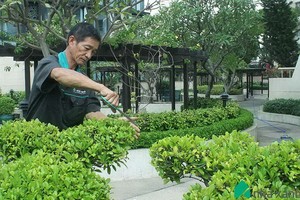 （示意圖源：互聯網） 