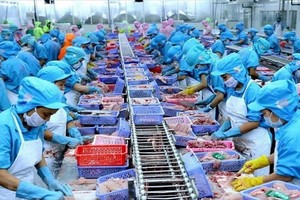 水產品加工生產線一隅。（圖：武生）