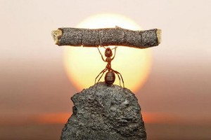 （示意圖：互聯網） 