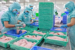 水產品加工出口活動。