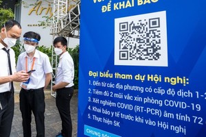 峴港市迎接 500 名商務遊客