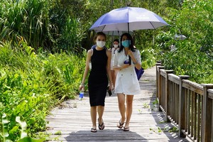 疫情期間巴地-頭頓省的試點度假村迎接遊客前來參觀遊覽。（圖：玉江）