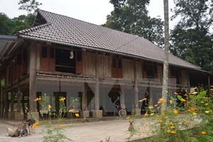 清化省芒族人高腳屋的建築特色。