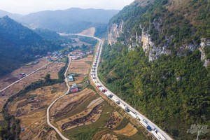 運載農產品的集裝箱貨車在諒山新青口岸附近排長隊。（圖：NNVN）