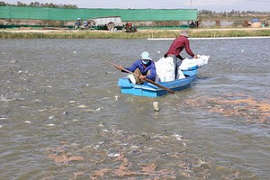 （示意圖：互聯網）