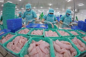 查魚加工出口。（圖：越通社）