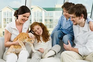 （示意圖：互聯網）