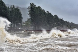 （示意圖：互聯網）