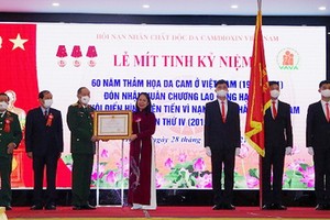 國家副主席武氏映春（中）代表黨、國家領導向越南落葉劑受害者協會頒授三等勞動勳章。（圖：芳清）