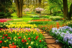 （示意圖：互聯網）