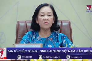 中央組織部長張氏梅在會談上發言。（圖：VNews視頻截圖）