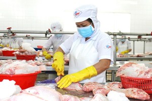 圖為平新郡新造工業區APT水產公司加工車間一隅。（圖：安芳）