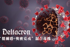 （示意圖：田升）