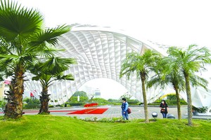 峴港 APEC 塑像公園擴建落成