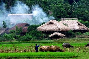 （示意圖：互聯網）