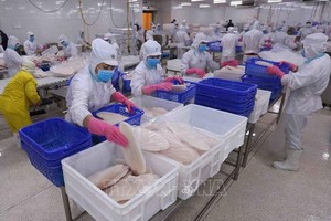 年關將至，IDI工人忙碌工作。