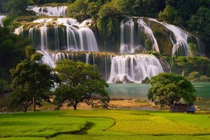 （示意圖：互聯網）