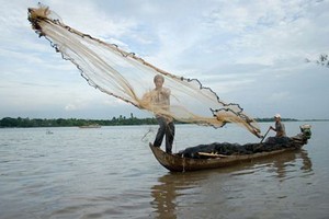 （示意圖：互聯網）