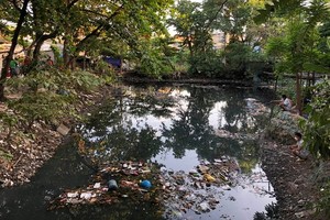 舊邑郡九闡涌的環境污染，蒼蠅和蚊子繁殖。