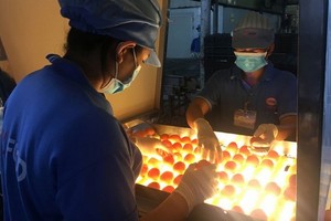 永成達公司在第四波疫情期間採用“三就地”生產模式。