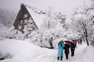 （示意圖：互聯網）